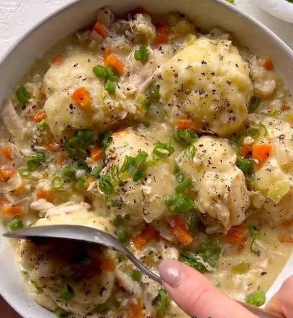 Delicious bowl of Chicken and Dumplings with herbs and spices