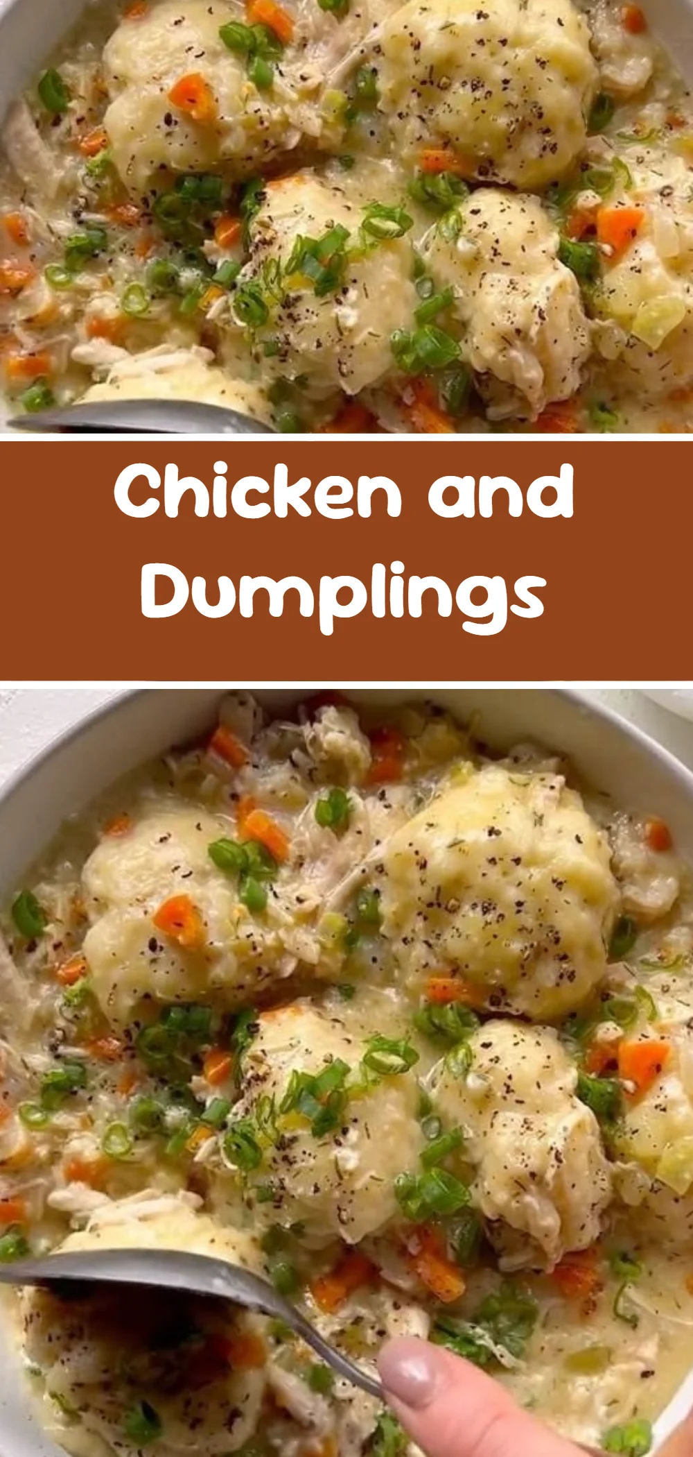 Chicken and Dumplings