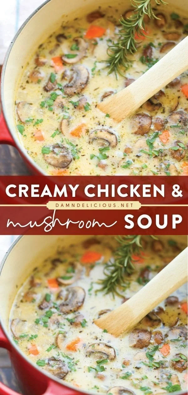 Bowl of creamy chicken and mushroom soup garnished with herbs.