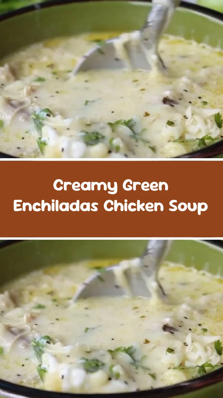 Creamy Green Enchiladas Chicken Soup