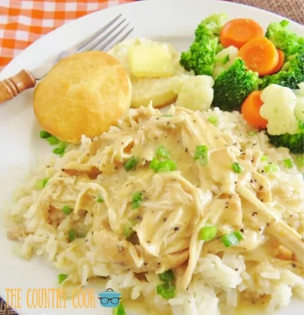 Delicious crock pot chicken and gravy dish served in a bowl