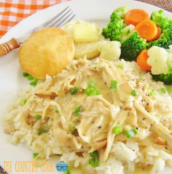 Crock Pot Chicken and Gravy