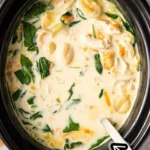 crockpot chicken gnocchi soup 2026 07 04 192210