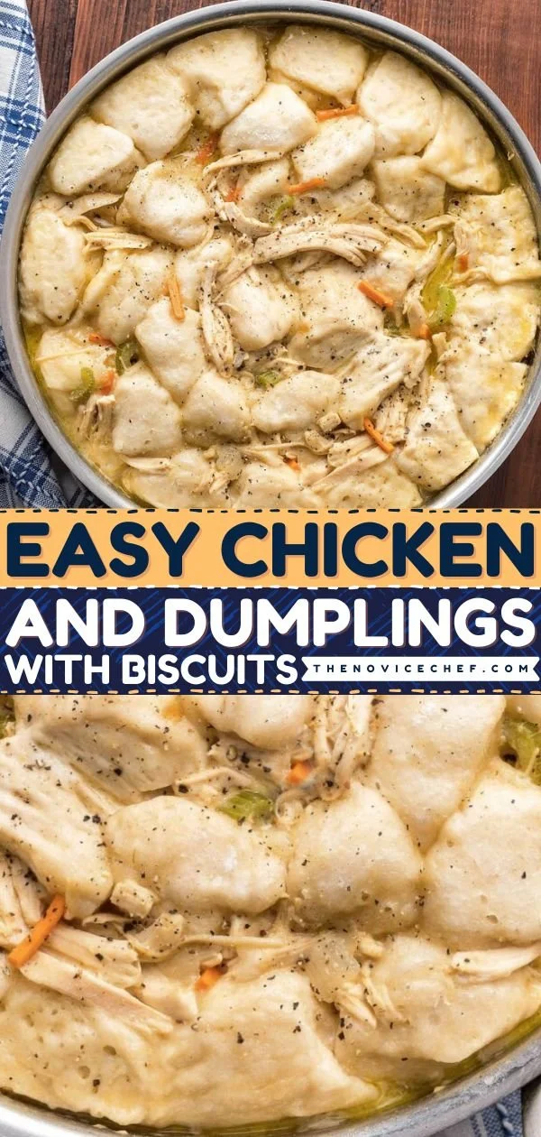 Bowl of easy chicken and dumplings with biscuits, ready to serve.