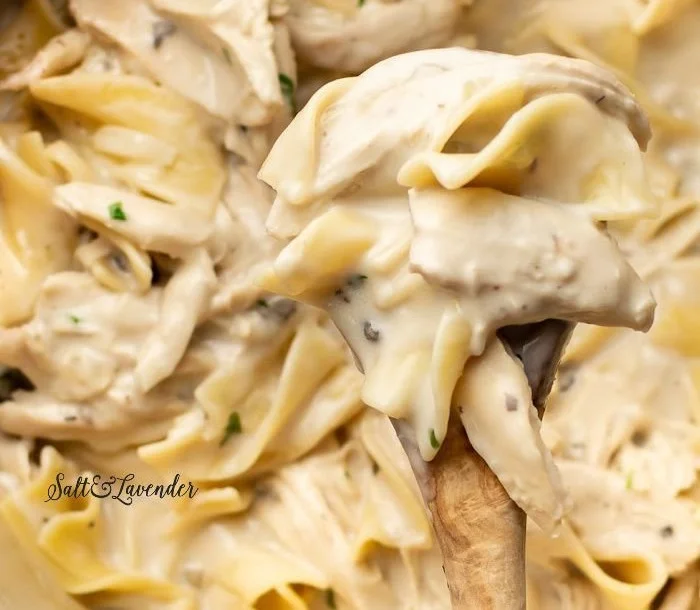 Delicious easy chicken and noodles dish served in a bowl