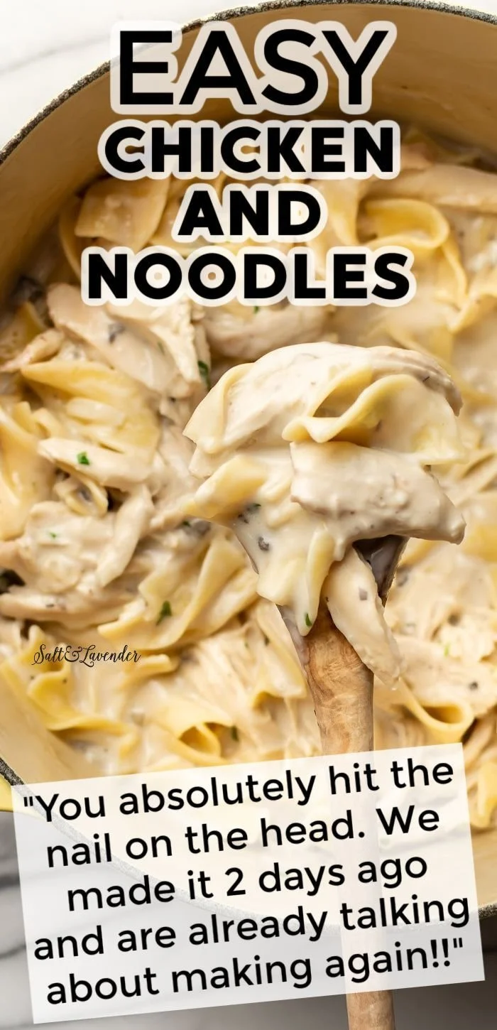 Bowl of easy chicken and noodles with vegetables in broth