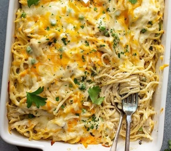 Delicious easy chicken tetrazzini served on a plate with creamy sauce and noodles.