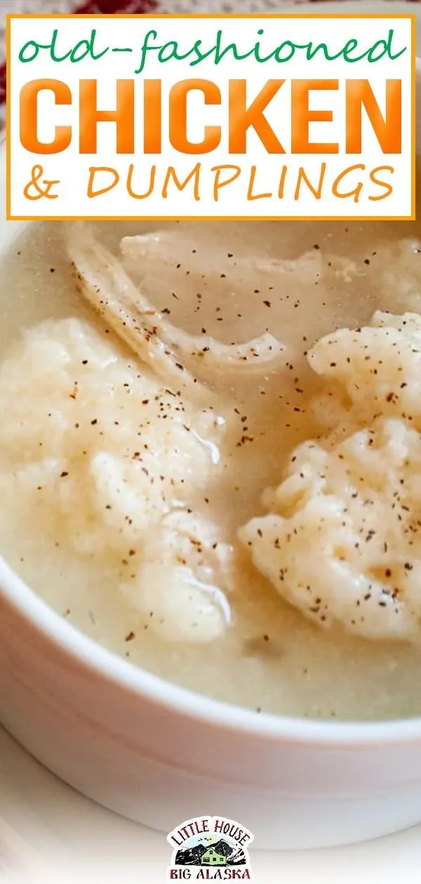 Delicious old fashioned chicken and dumplings ready to be served