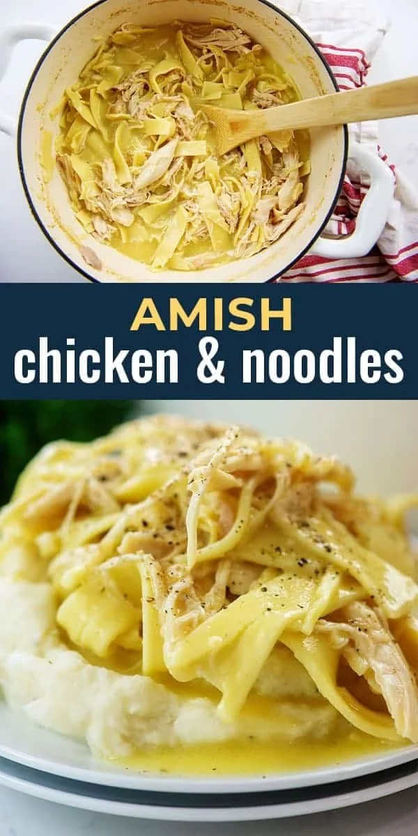 Bowl of Amish Chicken & Noodles with vegetables and herbs