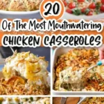 chicken casserole recipes 2026 08 07 181906 512x1024 1