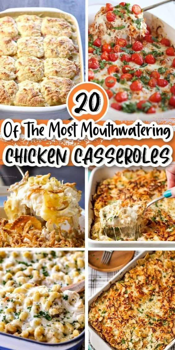 Delicious chicken casserole recipes for family meals and easy dinners