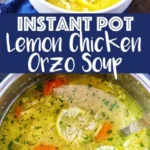 delicious instant pot lemon chicken orzo soup ch 2026 08 07 181937 512x1024 1