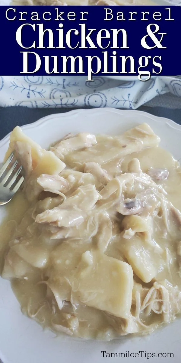A bowl of homemade Cracker Barrel Chicken and Dumplings ready to serve.