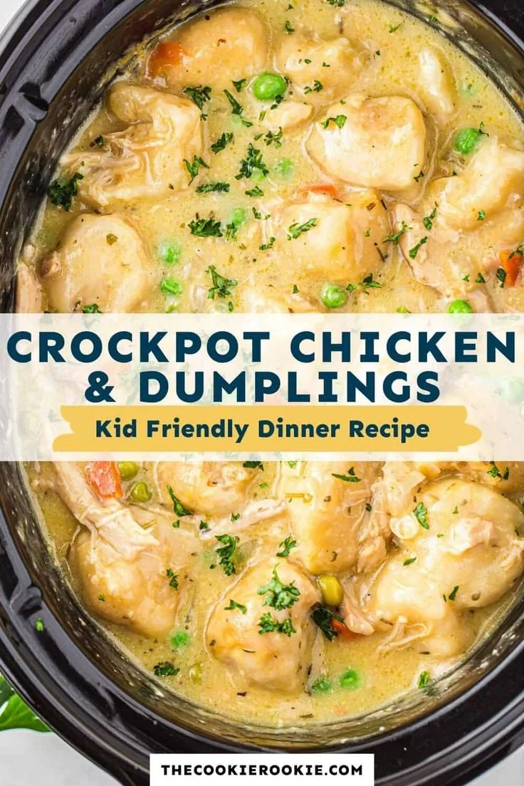 Easy crockpot chicken and dumplings with frozen dumplings in a bowl