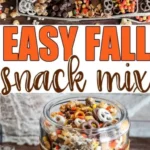 fall snack mix 2026 08 06 181821 512x1024 1