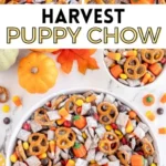 harvest puppy chow 2026 08 06 181937 512x1024 1