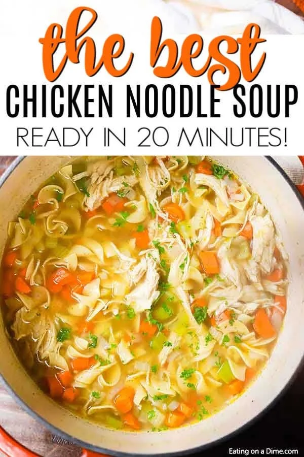 Bowl of homemade chicken noodle soup garnished with herbs and vegetables