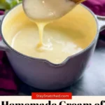 homemade cream of chicken soup recipe can of cre 2026 08 07 181945 683x1024 1