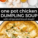 one pot chicken dumpling soup with refrigerated b 2026 08 07 181953 512x1024 1