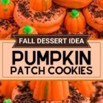 pumpkin patch cookies 2026 08 06 181938 512x1024 1
