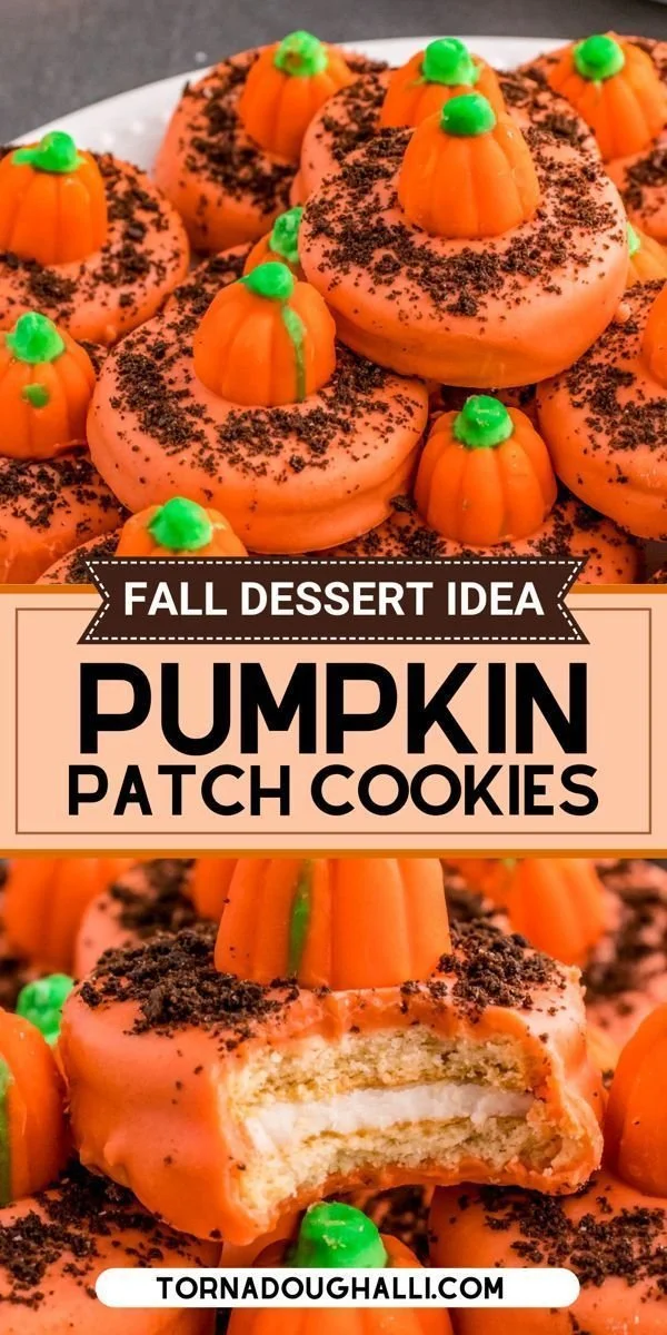 Delicious Pumpkin Patch Cookies decorated for autumn celebrations