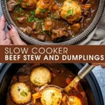 slow cooker beef stew and dumplings 2026 08 07 182001 512x1024 1