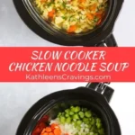 slow cooker chicken noodle soup 2026 08 07 181958 488x1024 1